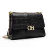 Fashion Color-Block Solid Color Design Women's Handbag Commuter Flap Light Luxury Brand Versatile 2025 New Women's Chain Bag
